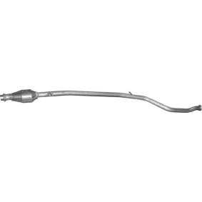 Katalysator 99.100 von POLMO günstig für 173,54 € online kaufen