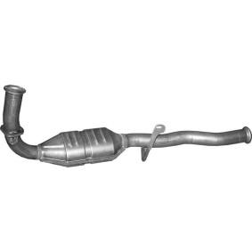 Katalysator 99.141 von POLMO günstig für 282,64 € online kaufen