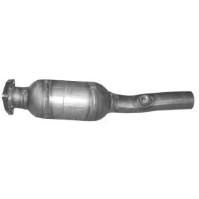 Katalysator 99.191 von POLMO günstig für 243,08 € online kaufen