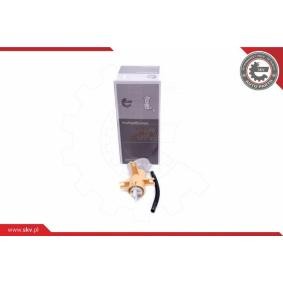 Kraftstoff-Fördereinheit 02SKV800 von ESEN SKV günstig für 70,05 € online kaufen