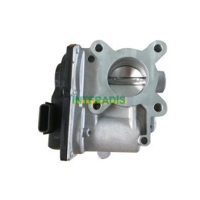 Acquista Corpo farfallato da INTFRADIS 28071 a buon mercato per soli 163,21 €