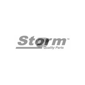 Compre Articulação, coluna de direcção da STORM QUALITY PARTS F0152 a um preço baixo por 8,15 €