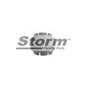 Comprar Casquillo, árbol de dirección de STORM QUALITY PARTS F1675 a bajo precio de 4,36 €