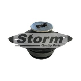 Compre Suporte, motor da STORM QUALITY PARTS F1685 a um preço baixo por 15,03 €
