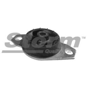 Compre Suporte, motor da STORM QUALITY PARTS F2107 a um preço baixo por 41,00 €