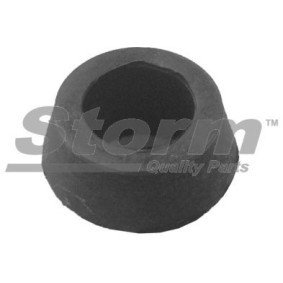 Acquista Boccola, Albero dello sterzo da STORM QUALITY PARTS F2423 a buon mercato per soli 6,35 €