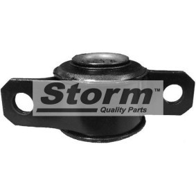 Compre Suspensão, braço oscilante da STORM QUALITY PARTS F2873 a um preço baixo por 20,99 €