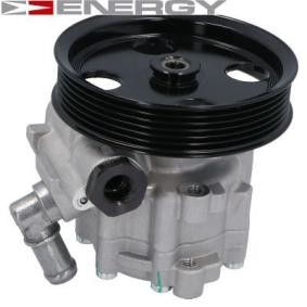 Compre Bomba de direção de ENERGY online para SPIDER (939) a preços moderados