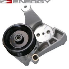 Achetez des Pompe de direction assistée ENERGY PW690149 à prix pour 240,93 €