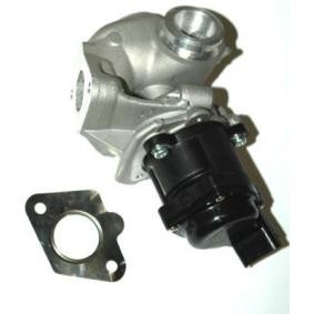 Compre Válvula EGR da ENERGY ZE0045 a um preço baixo por 92,51 €