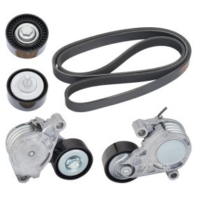 Acquista Kit Cinghie Poly-V da RIDEX 542R0793 a buon mercato per soli 90,17 €