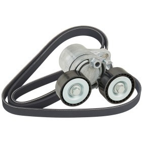 Achetez des Kit de courroie d'accessoire de chez RIDEX en ligne pour X1 (E84) à prix modérés