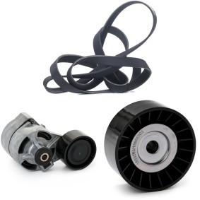 Compre Kit de correa de alternador de RIDEX online para Transit Mk6 Autobús (V347, V348, FD, FB, FS, FZ, FC) a precios moderados
