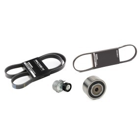 Achetez des Kit de courroie d'accessoire de chez RIDEX en ligne pour Boxer Camion plate-forme/Châssis (244) à prix modérés