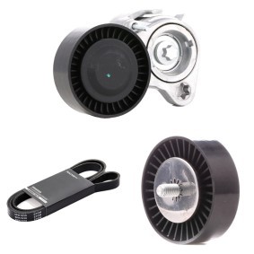 Acquista Kit cinghia servizi da RIDEX online per 1 Hatchback (E81) a prezzi moderati