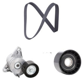 Achetez des Kit de courroie d'accessoire de chez RIDEX en ligne pour INTERSTAR Camion plate-forme/Châssis à prix modérés
