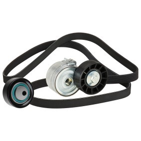 Compre Jogo de correias trapezoidais estriadas da RIDEX 542R1029 a um preço baixo por 92,72 €