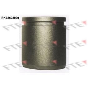 Acquista Pistoncino pinza freno da FTE 9313013 a buon mercato per soli 17,57 €