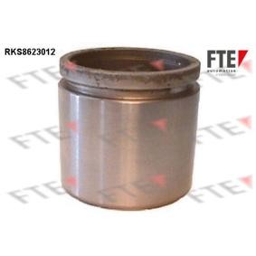Acquista Pistoncino pinza freno da FTE 9313015 a buon mercato per soli 18,36 €