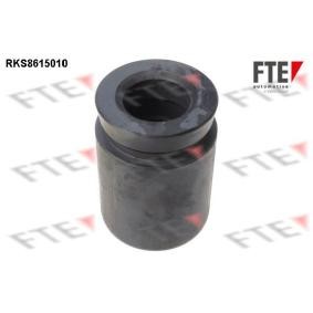 Acquista Pistoncino pinza freno da FTE 9313130 a buon mercato per soli 20,87 €
