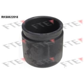 Compre Pistón de la pinza de freno de FTE online para SUNNY III Traveller (Y10) a precios moderados