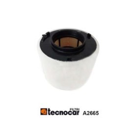 Köp Luftfilter av TECNOCAR A2665 till det låga priset 1261,32 kr