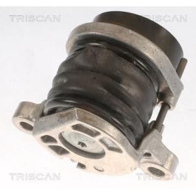 Riemenspanner, Keilrippenriemen 8641 103059 von TRISCAN günstig für 100,81 € online kaufen