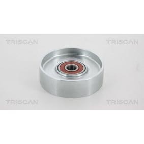 Spannrolle, Keilrippenriemen 8641 141007 von TRISCAN günstig für 61,73 € online kaufen