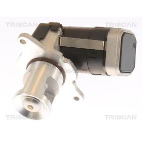 AGR-Ventil 8813 23036 von TRISCAN günstig für 292,63 € online kaufen