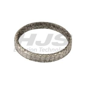 Acquista Guarnizione tubo gas scarico da HJS online per 6 Coupe (F13) a prezzi moderati
