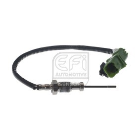 Achetez des Palpeur, température des gaz EFI AUTOMOTIVE 1473159 à prix pour 166,21 €