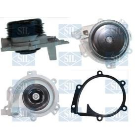 Acquista Pompa acqua da Saleri SIL PA1716 a buon mercato per soli 99,07 €
