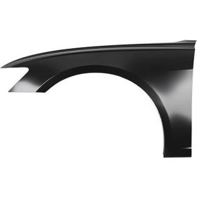 Comprar Guardabarros de DIEDERICHS 1029007 a bajo precio de 180,34 €