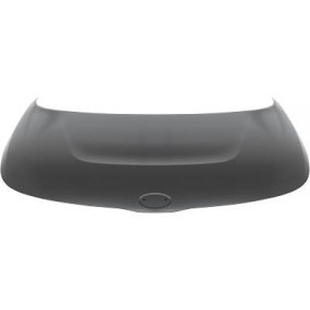 Compre Capô de DIEDERICHS online para Soul III (SK3) a preços moderados