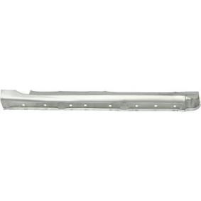 Acquista Sottoporta da DIEDERICHS online per Fiesta Mk6 Hatchback (JA8, JR8) a prezzi moderati
