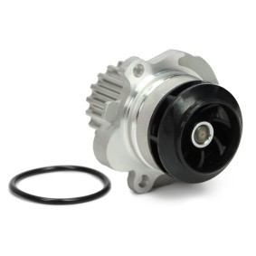 Compre Bomba de água da MASTER-SPORT 550-WP-PCS-MS a um preço baixo por 29,99 €