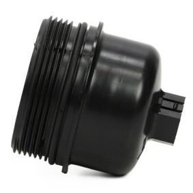 Köp Lock, oljefilterhus av MASTER-SPORT 641000010 till det låga priset 107,14 kr
