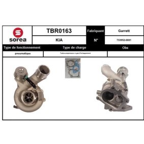 Comprar Turbocompresor de SNRA TBR0163 a bajo precio de 368,32 €