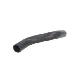 Kühlerschlauch DWG123TT von THERMOTEC günstig für 19,66 € online kaufen
