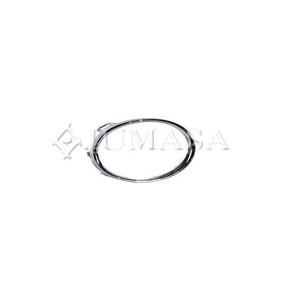 Comprar Carcasa, faro antiniebla de JUMASA 23025543 a bajo precio de 34,05 €