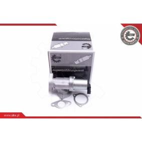 Compre Válvula EGR da ESEN SKV 14SKV209 a um preço baixo por 96,18 €
