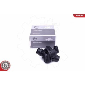 Comprar Termostato, refrigerante de ESEN SKV 20SKV097 a bajo precio de 85,64 €