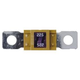 Compre Fusível da RESTAGRAF 17143 a um preço baixo por 32,40 €