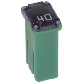 Compre Fusibles de RESTAGRAF online para S40 II (544) a precios moderados
