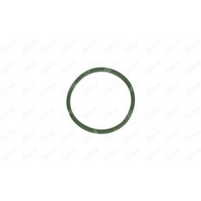 Compre Retentor, tubo do ar de sobrealimentação da IBRAS 11978 a um preço baixo por 2,44 €