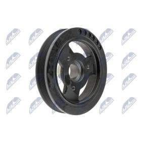 Achetez des Poulie damper (vilebrequin) NTY RKP-CH-026 à prix pour 84,53 €