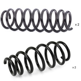 Osta Alustasarja, jouset RIDEX:llä 189S0047 edullisesti hintaan 109,77 €