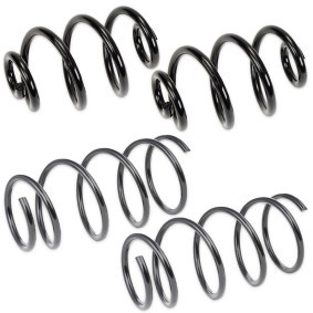 Compre Kit de suspensão, molas da RIDEX 189S0067 a um preço baixo por 117,13 €