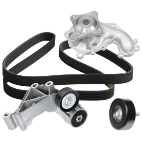 Comprar Bomba de agua + kit de correa poli V de RIDEX 4172P0095 a bajo precio de 139,05 €