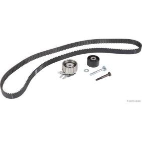 Achetez des Kit de distribution HERTH+BUSS JAKOPARTS J1118029 à prix pour 96,89 €